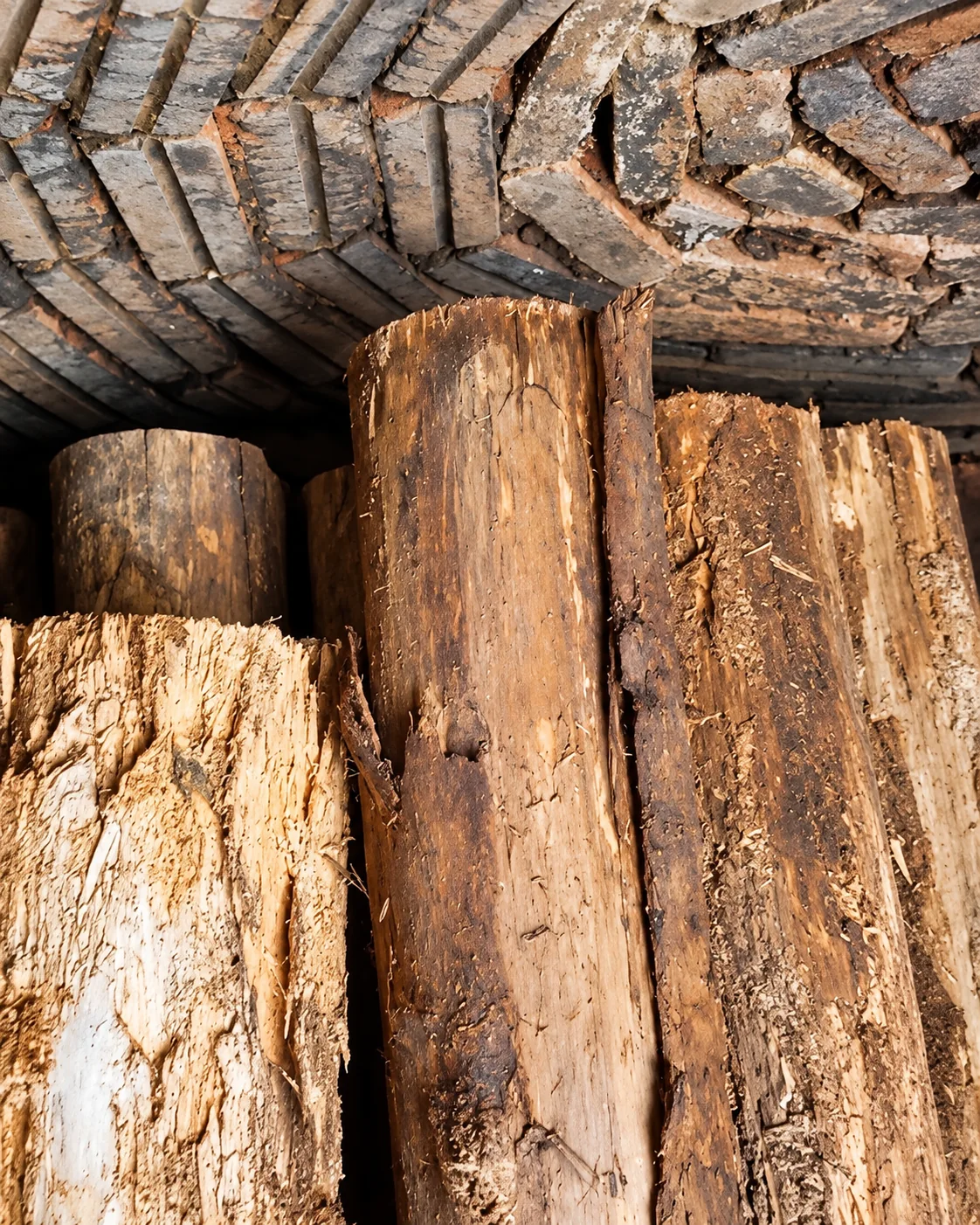 Lenha empilhada para carbonização